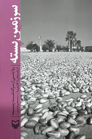 سرزمین پسته
